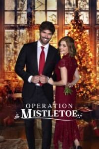 Operation Mistletoe 2024